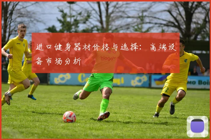 进口健身器材价格与选择：高端设备市场分析