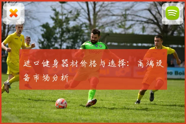 进口健身器材价格与选择：高端设备市场分析