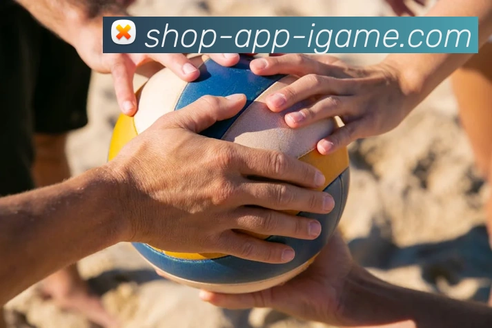 App Interface Preview